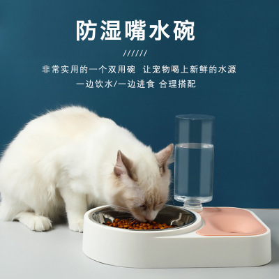 Amazon New Automatic Drinking Stainless Steel Cat Anti-Tumble Rice Basin Pet Leash Bottle Dual-Use Dog Bowl Water Feeding Bowl