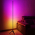 Factory Direct Sales Floor Lamp Bedside Lamp Standing Lamp High-Profile Figure Lamp Creative Lamp Simple Lamp LED Lamp