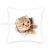 Cute Cartoon Cat Short Plush Printed Pillowcase Sofa Living Room Cushions without Core Model Room Bedside Cushion
