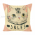 Cute Cartoon Cat Linen Printed Pillowcase Sofa Living Room Cushions without Core Model Room Bedside Cushion
