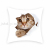 Cute Cartoon Cat Short Plush Printed Pillowcase Sofa Living Room Cushions without Core Model Room Bedside Cushion