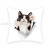 Cute Cartoon Cat Short Plush Printed Pillowcase Sofa Living Room Cushions without Core Model Room Bedside Cushion