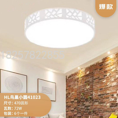 Annual New Living Room Modern Nordic Ceiling Lamp Simple Elegant Household European LED Ceiling Lamp