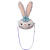 Stella Rabbit Crossbody Bag Peripheral Bag Handbag Cartoon Ballet Rabbit Bag Star Dai Lu Cute Crossbody Bag