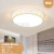 Living Room Bedroom Modern Minimalist and Magnificent Household European LED Ceiling Lamp