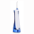 Electric Toothbrush-D1003