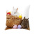 New Easter Cute Rabbit Egg Pattern Cushion Cover Special Holiday Decoration Living Room Sofa Pillow Cases