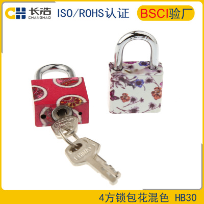 New Fashion Lock 30MM Bag Arc Padlock Bag Flower Heat Transfer Printing Iron Padlock with Key CH-HB31