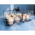 12 Cups Black Transparent Cake Box Cup Cake Packaging Box Paper Cup Transparent Plastic Dessert to-Go Box