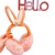 Korean New Ins Trending Girl Cute Flowers Rabbit Selling Cute Earmuffs Students Warm-Keeping Ear Warmers