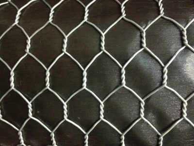 Galvanized Wire Mesh Plastic Coated Hexagonal Net Hot Selling African Chicken Mesh