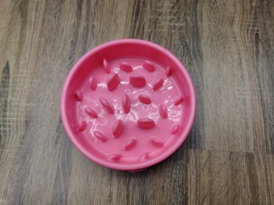 Pet Bowl for Cats and Dogs