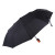 Large Oversized Umbrella Men's and Women's Three-Person Dual-Use Folding Vinyl Sun Protective Sunshade for Students