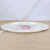 Porcelain-like Environmental Protection Plate Wholesale Hotel Food Tray Customized Fruit Plate Bread Tray