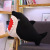 Wholesale Custom Cute Marine Animal Shark Throw Pillow Plush Toys Dolphin Cushion Penguin Doll Doll Puppet