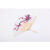 Chinese Style Ink Painting Plum Blossom Women's Folding Fan Raw Silk Fan Wedding Elegant Plum Silk Fan AliExpress Hot Sale Fan