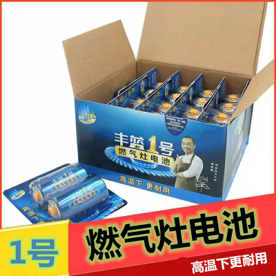 Authentic Nanfu Fenglan No. 1 Gas Stove Battery No. 1 1.5V 20 Capsules 1 Box Water Heater Wholesale and Retail