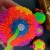 with Rope Luminous 7.5 SUNFLOWER Squeeze and Sound Elastic Ball Squeeze Children Flash Whistle Massage Ball Factory Wholesale