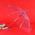 Color Transparent Umbrella Straight Rod Automatic Umbrella Long Handle Umbrella Umbrella Custom Logo Factory Wholesale