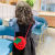 Bag Kid's Messenger Bag Girls' Cute Cartoon Princess Bag Fashion All-Match Shoulder Bag Coin Purse Mini Bag