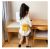 Children's Chanel-Style Bags Fashion Furry Girls' Handbag Princess Bag Korean Style Trendy Crossbody Bag for Girls