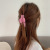 Japanese and Korean Ins Hairpin Hairpin Paint Big Hair Claws Frosted Color Barrettes Cute Bath Hairpin Wash Headdress