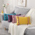 Modern Minimalist Chinese Style Pillow Ins Cross-Border Velvet Pendant Pillow Cover Couch Pillow Pillow Cushion Cover