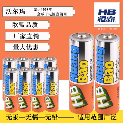 No. 5 No. 7 Alkaline Dry Battery for Mouse Fingerprint Lock Electric Garbage Can Factory Direct Sales