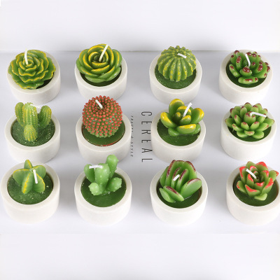Artistic Taper and Candle Mud Cylinder Base Succulent Plant Candle Creative Simulation Candle