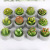 Artistic Taper and Candle Mud Cylinder Base Succulent Plant Candle Creative Simulation Candle