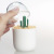 Rabbit Shape Toothpick Storage Box Cotton Puff Cotton Box Cactus Toothpick Box Elk Cotton Box