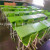 Office Table and Chair Set Conference Table and Chair Dining Table and Chair Simple Furniture Creative Chair Dining 
