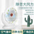 2021 New Desktop Electric Fan Household USB Rechargeable Little Fan Mute Mini Portable Gift Cross-Border