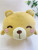Factory Direct Sales Cartoon Cute Smile Little Bear Doll Pillow Gift Plush Toy Afternoon Nap Pillow Sample Customization