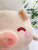 Factory Direct Sales Cartoon Cute Smile Piggy Doll Pillow Plush Toy Afternoon Nap Pillow to Map Sample Customization