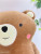 Factory Direct Sales Cartoon Teddy Bear Pillow Doll Plush Toy Cushion Pillow for Drawing and Sample Customization