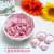 Korean Princess Girls Frosted Rubber Paint Rubber Band Hair Band Baby Colored Hair Band Hair Accessories Hair Ring