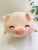 Factory Direct Sales Cartoon Cute Smile Piggy Doll Pillow Plush Toy Afternoon Nap Pillow to Map Sample Customization