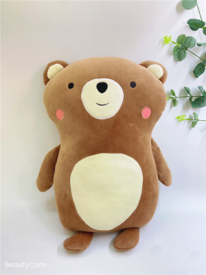 Factory Direct Sales Cartoon Teddy Bear Pillow Doll Plush Toy Cushion Pillow for Drawing and Sample Customization
