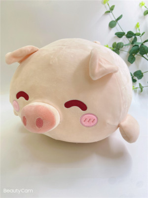 Factory Direct Sales Cartoon Cute Smile Piggy Doll Pillow Plush Toy Afternoon Nap Pillow to Map Sample Customization