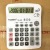 Taksun Dexin Brand TS-760 Voice Calculator Office Calculator Wholesale