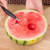 Double-Headed Stainless Steel Watermelon Ball Scoop Multifunctional Ice Cream Fruit Scoop Tools