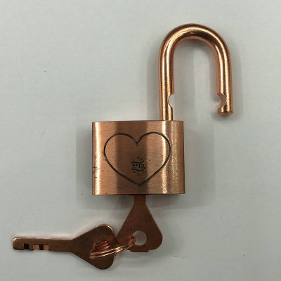 Manufacturers Supply Arc Blade Padlock Cross Key Anti-Rust Anti-Theft Can Be Customized Drawer Lock Door Lock Cabinet Lock