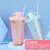 Tiktok Korean Style Micro Landscape Ice Cup Internet Celebrity Summer Double Plastic Straw Cup 550ml Clear Water Cup