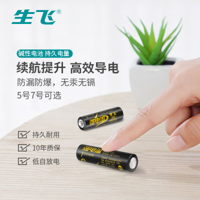 Factory Direct Sales Shengfei No. 5 No. 7 Alkaline Dry Battery High Power Electric Toothbrush Disposable Dry Battery