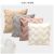 Cross-Border Amazon Ins Hot Sale Plush Pillow Solid Color Sofa Pillow Cover Living Room Cushions Waist Pillow Customization