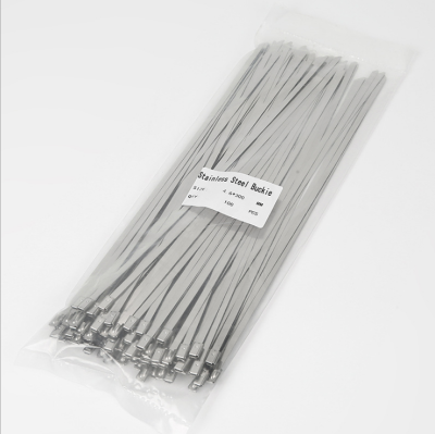 304 Material Marine Cable Ties 7.9 Width Series Stainless Steel Ribbon 7.9 * 500mm Iron Tie 100 Pieces/Bag