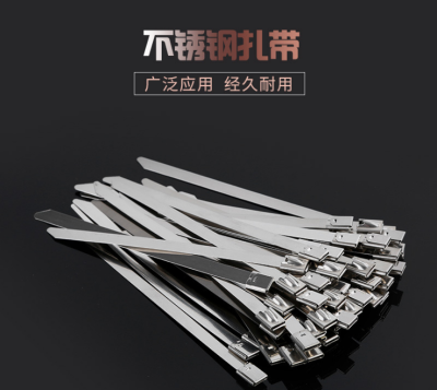 Factory Direct Sales 304 Stainless Steel Self-Locking Cable Tie 4.6mm Marine Cable Ties Strap Corrosion Resistant High Temperature Resistant Cable Tie
