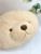 Factory Direct Sales Three-Color Teddy Bear Pillow Stuffed Doll Animal Throw Pillow Doll Drawing Sample Customization
