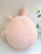 Factory Direct Sales New Cartoon Cute Bunny Plush Toy Animal Pillow Doll to Map and Sample Customization